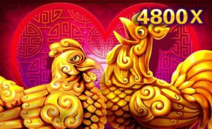 JDB Slot Game:GOLD ROOSTER LOTTERY.