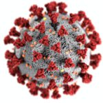 coronavirus19