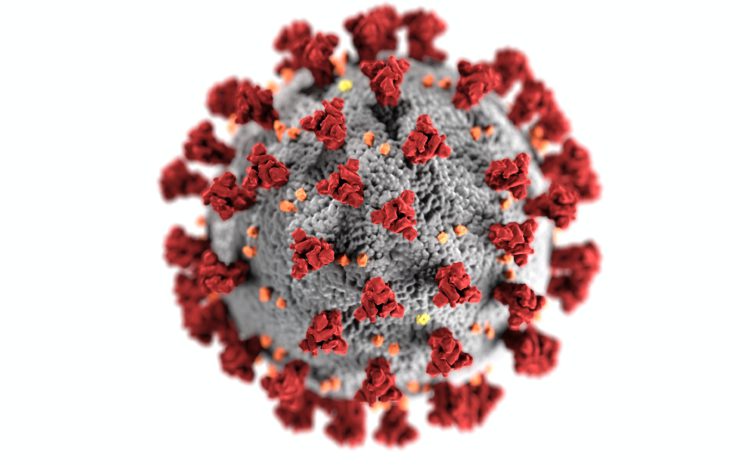 coronavirus19