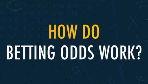 Understanding The Cricket Betting Odds At MarvelBet