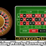 Becoming a Roulette Pro: Maximizing Wins by Knowing the Rules